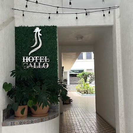Hotel Gallo Guadalajara Exterior foto