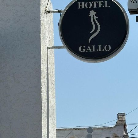 Hotel Gallo Guadalajara Exterior foto