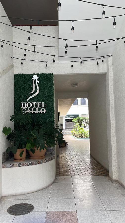 Hotel Gallo Guadalajara Exterior foto